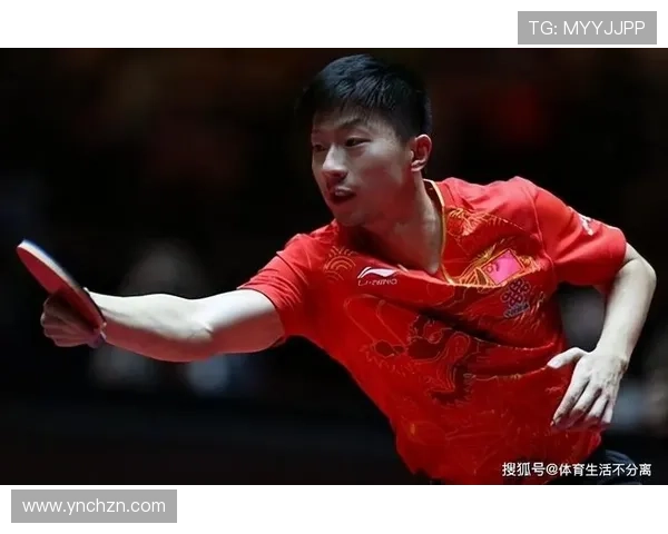 南京乒乓球队快攻战术解析与技术特点深度剖析