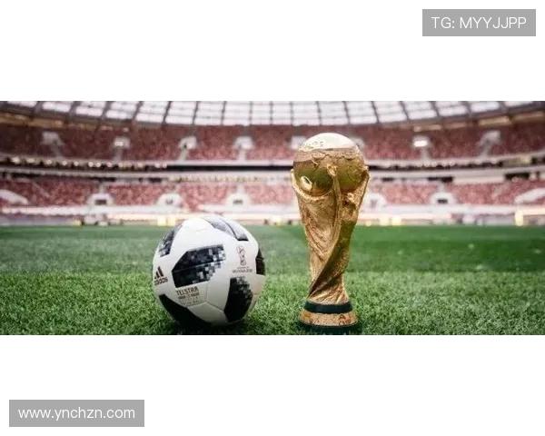 南京羽毛球队在世界杯积分榜上以57分稳居第一名展现强劲实力