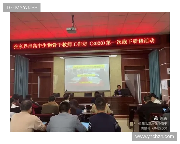 武汉排球队灵活性分析与战术创新的深度探讨